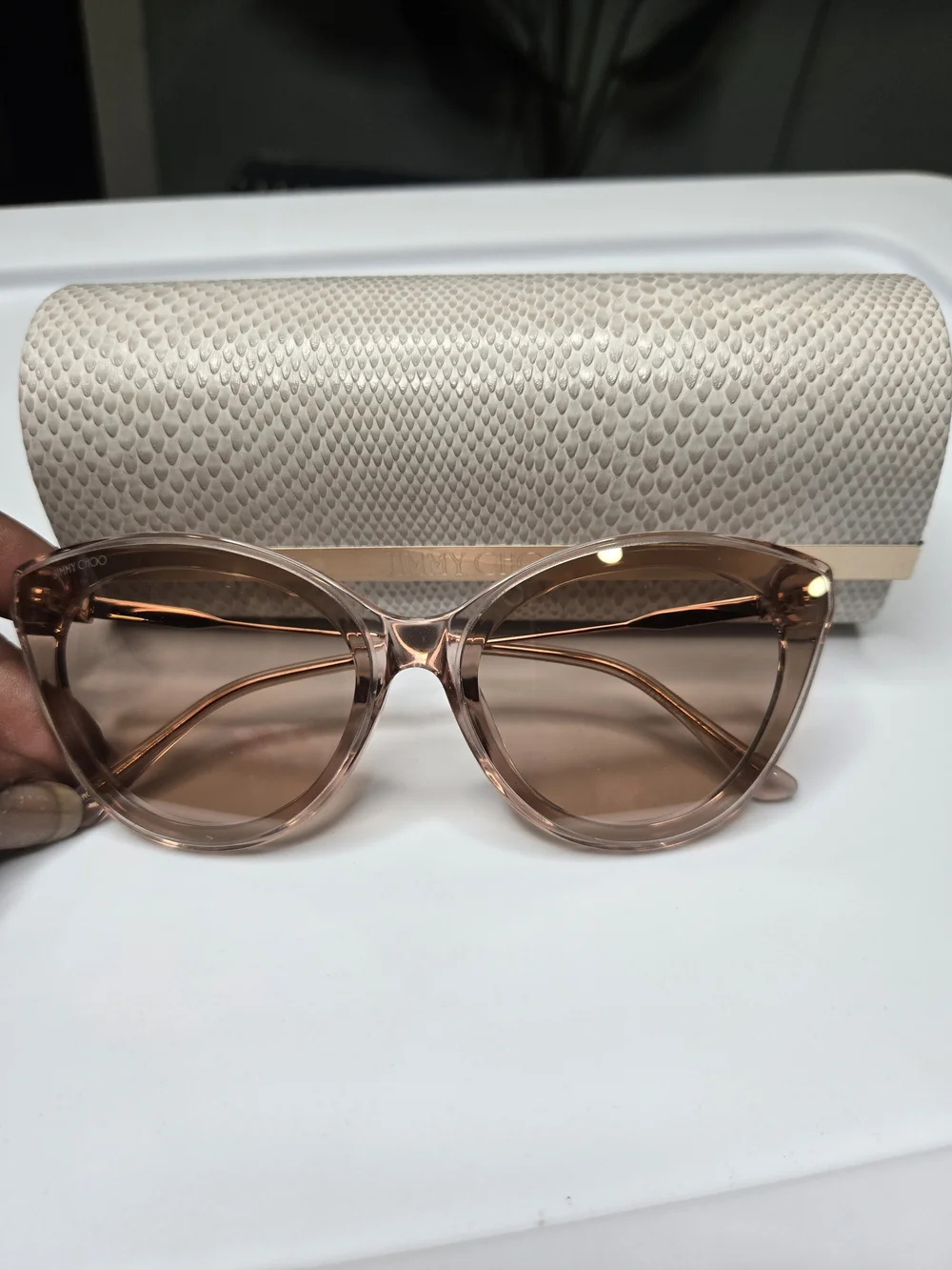 Jimmy Choo Cat-Eye Sunglasses in Light Brown